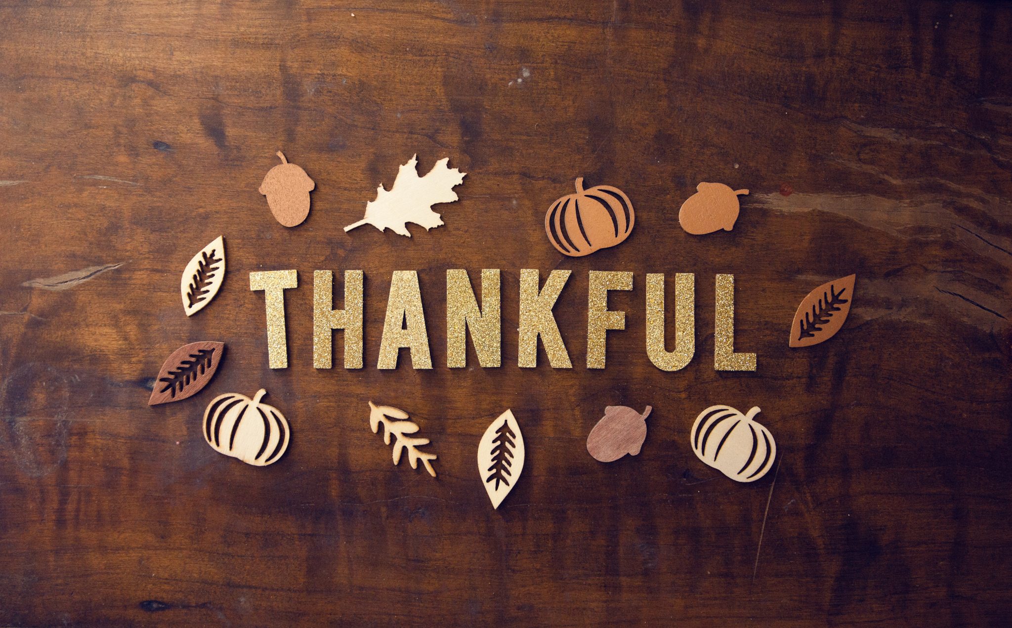 Thanksgiving Day - Fun&Food