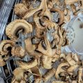 Come essiccare funghi
