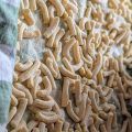 Maccheroni all'uovo trafila pasta
