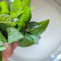 Sciroppo alla Menta